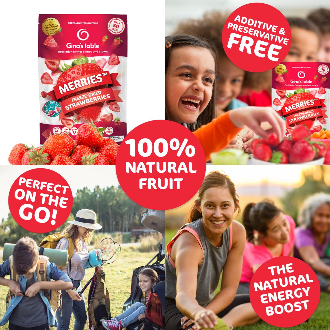 Freeze Dried Strawberries - Vegan America