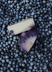 Native Blue Chèvre - Vegan America