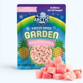 Freeze Dried Pink Pineapple - Vegan America