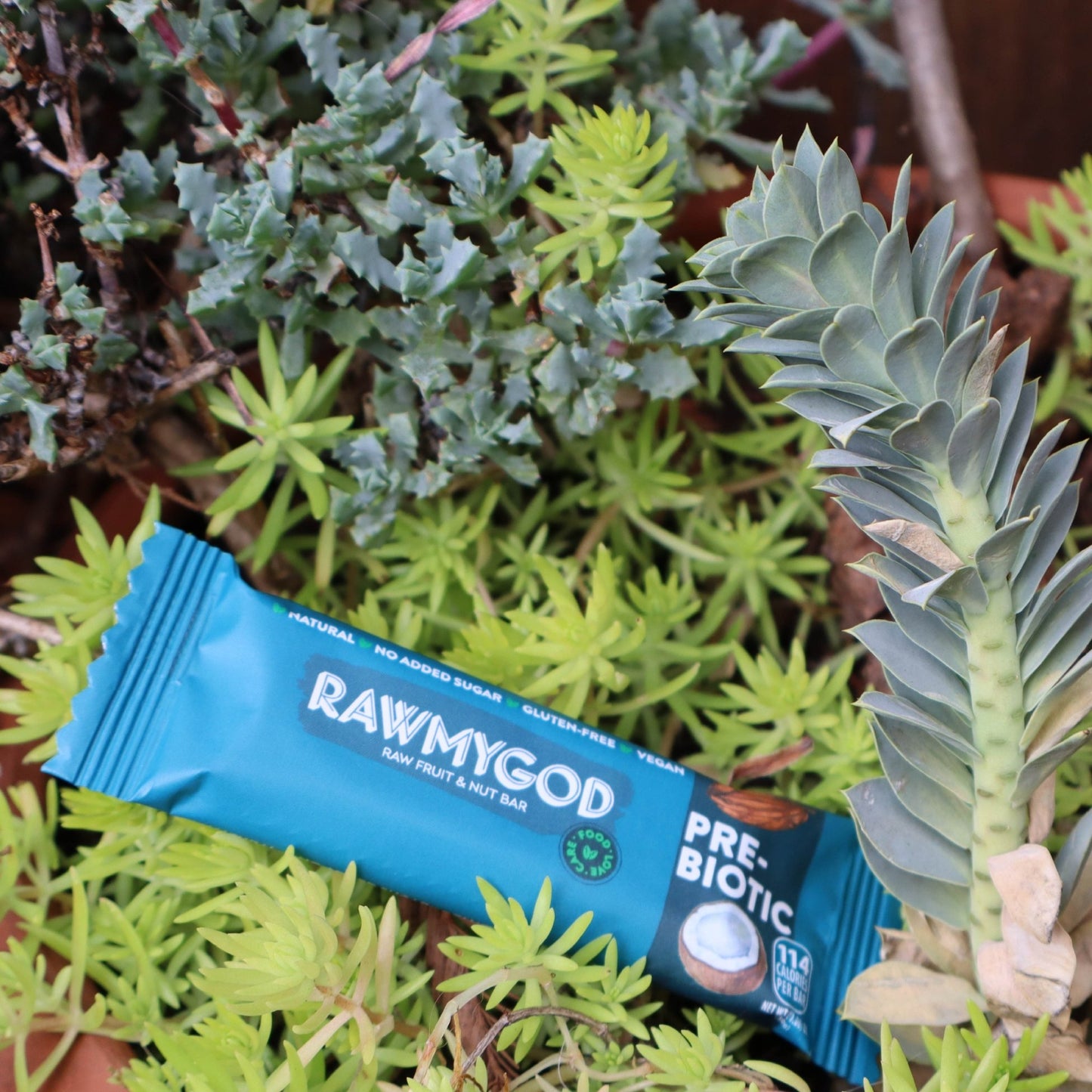 RAWMYGOD Prebiotic Raw Fruit & Nut Bar, Box of 20 - Vegan America