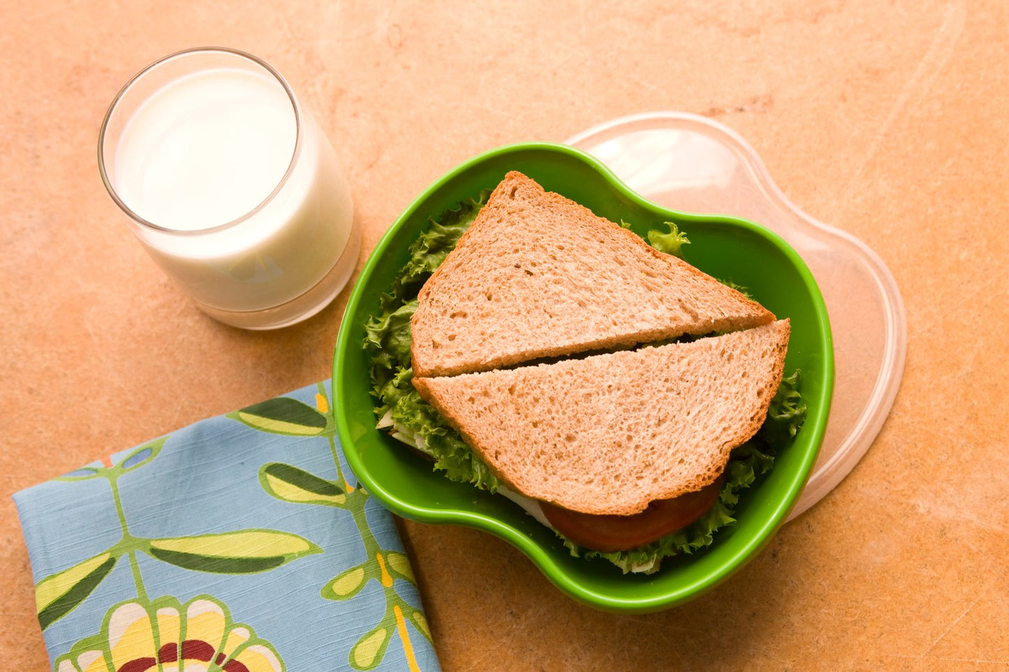 Clearance - Sandwich Food Storage Container | Set of 2