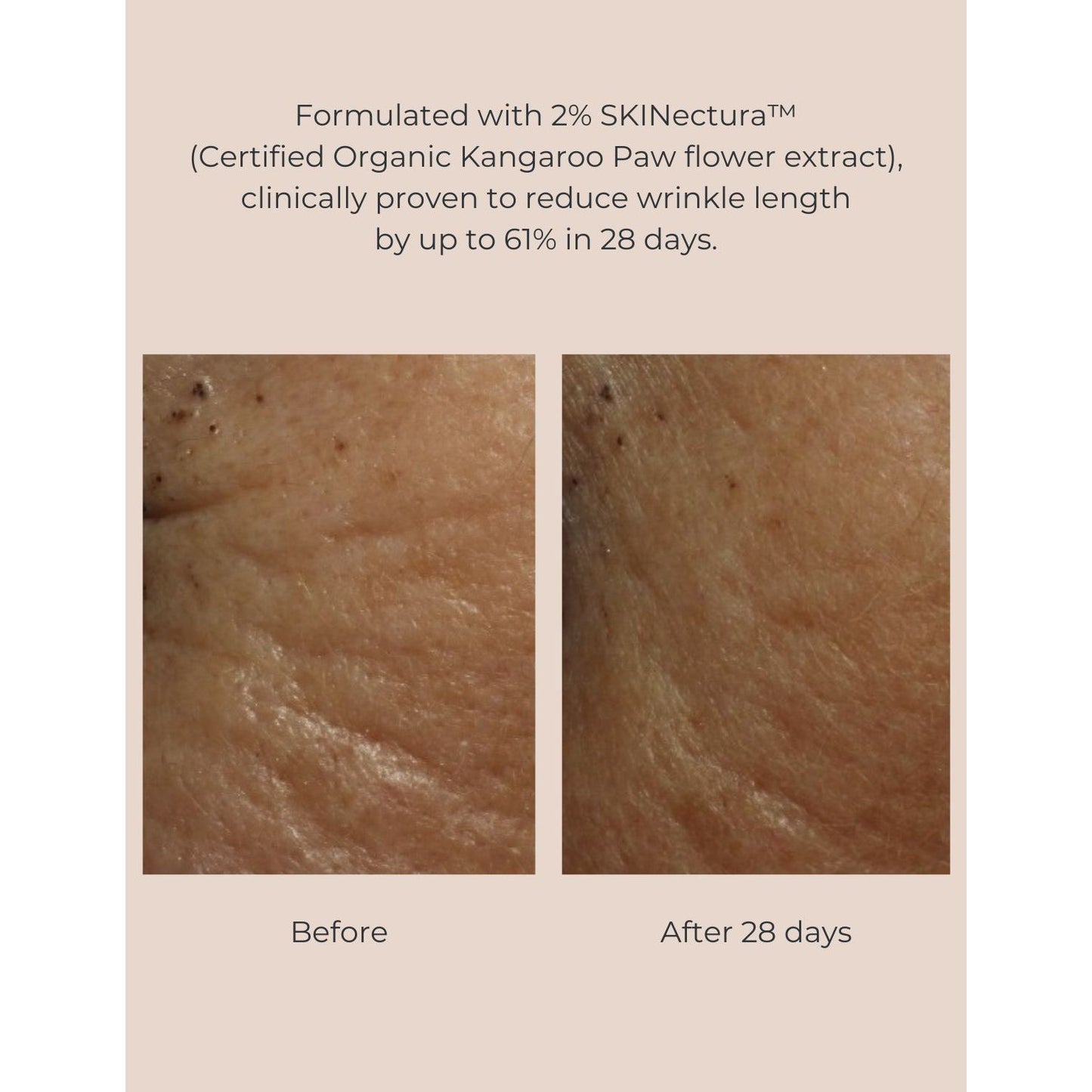 Long-Last Foundation Bundle