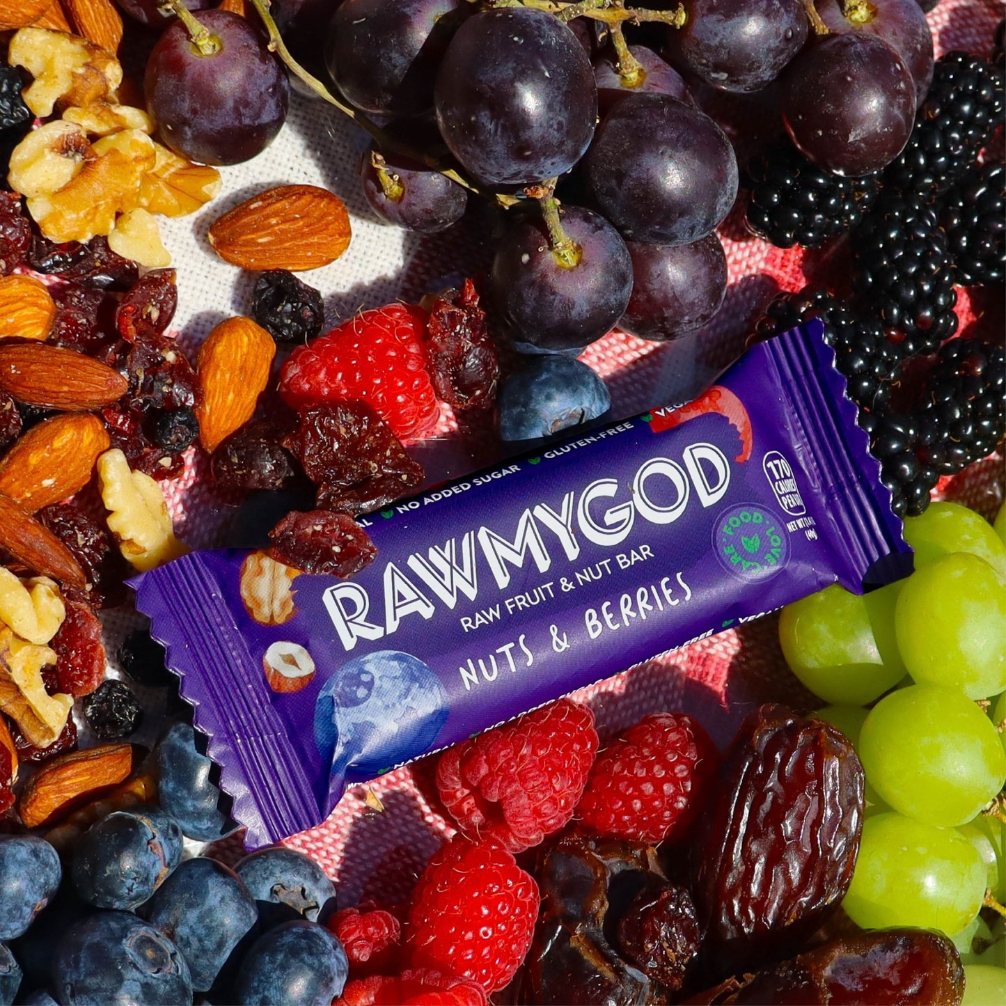 RAWMYGOD Nuts & Berries Raw Fruit & Nut Bar, Box of 16 - Vegan America