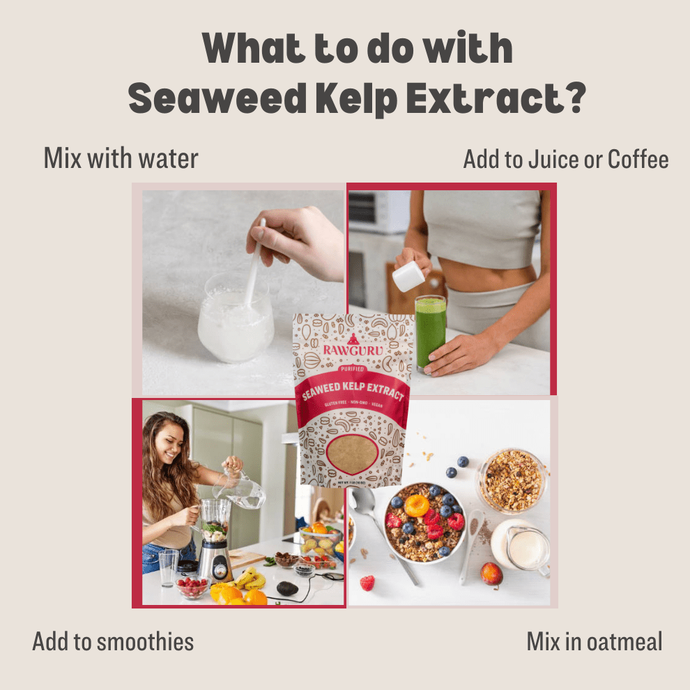 RawGuru Pure Seaweed Kelp Extract - 16oz - Vegan America