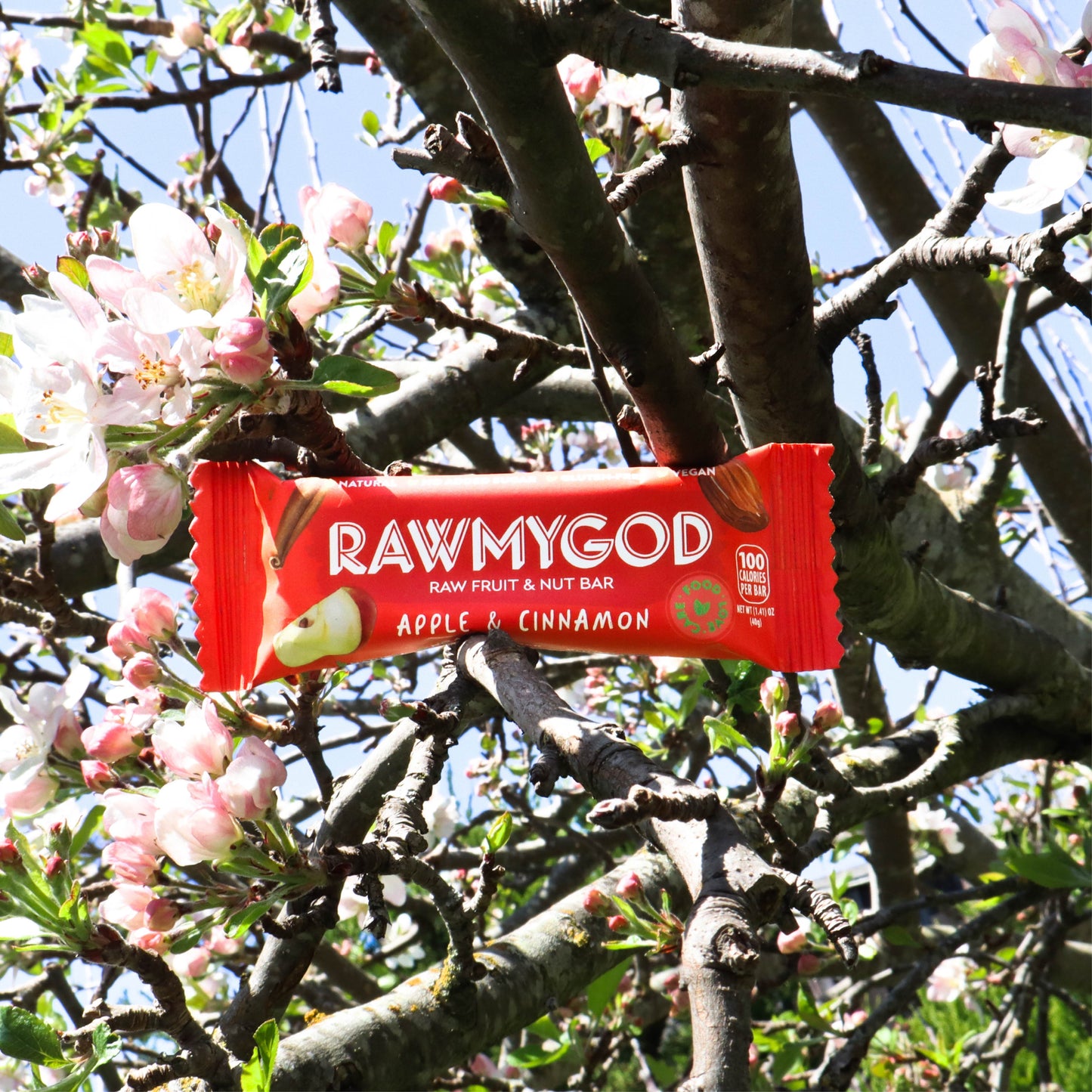 RAWMYGOD Apple & Cinnamon Fruit & Nut Bar, Box of 16