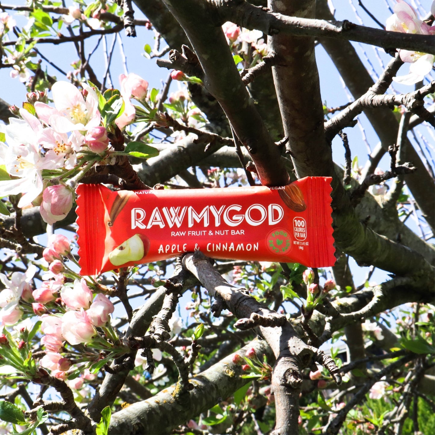 RAWMYGOD Apple & Cinnamon Fruit & Nut Bar, Box of 16 - Vegan America