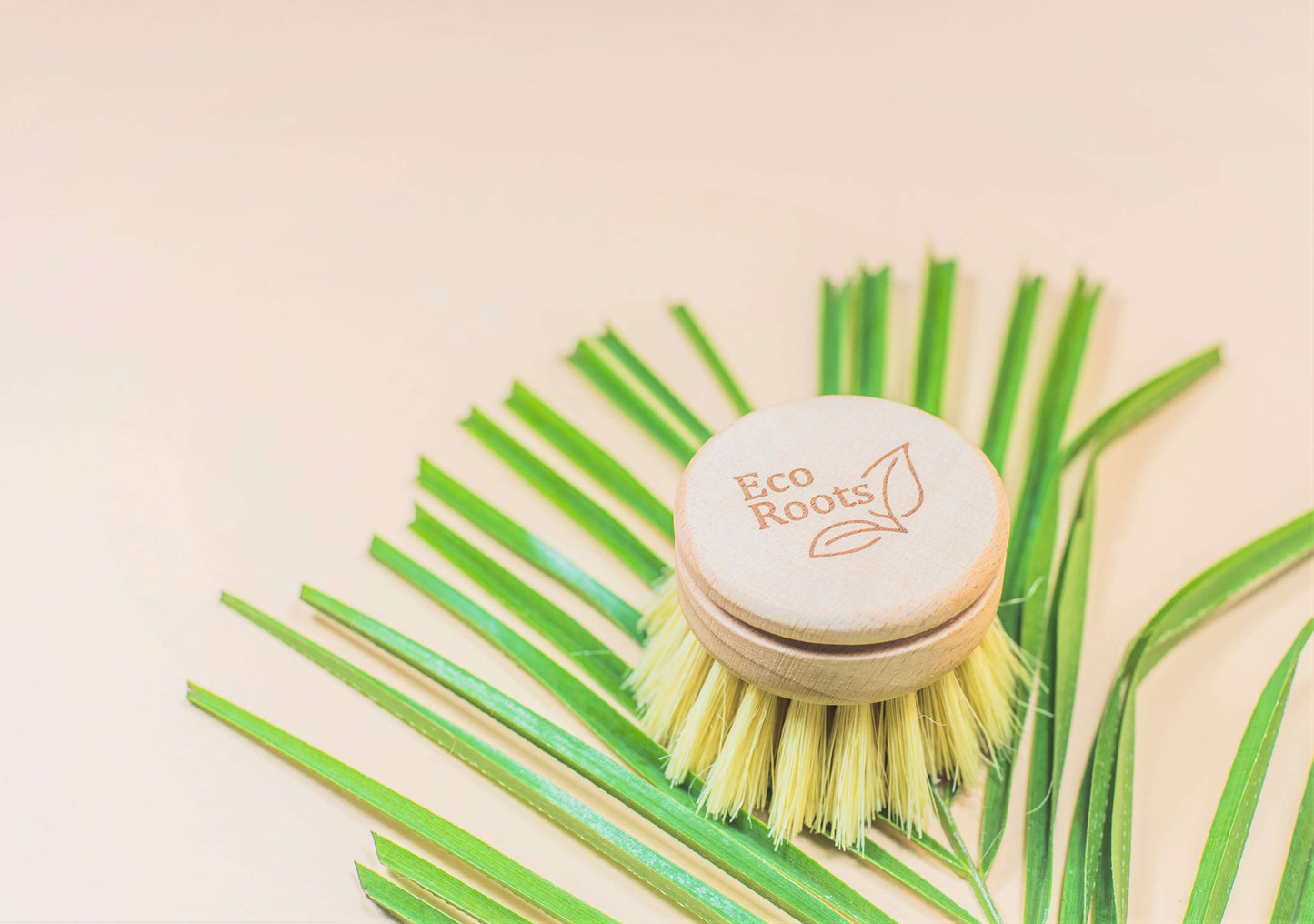 Wooden Dish Brush - Replacement Head