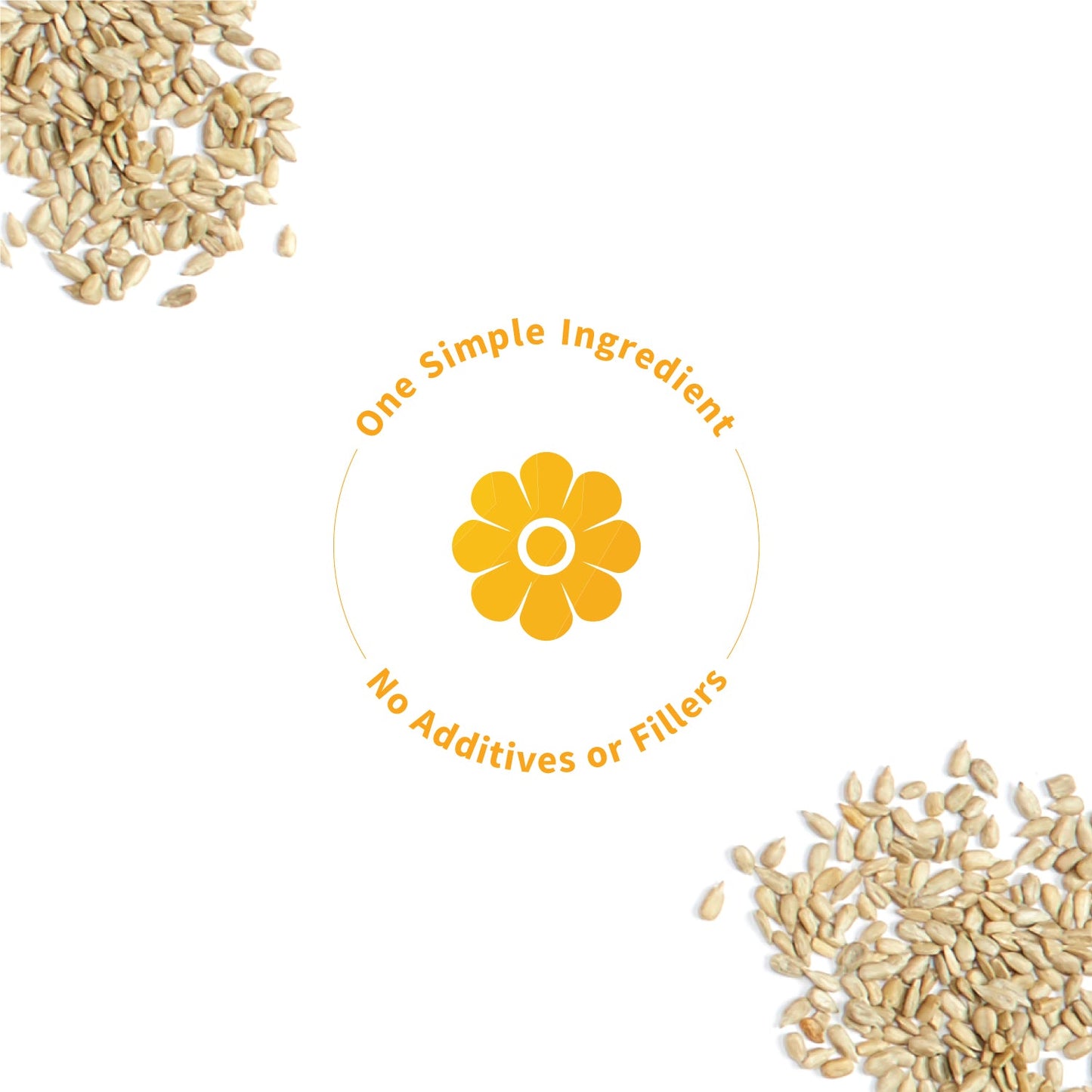 Simple Protein, Sunflower Seed, 1lb