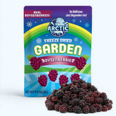 Freeze Dried Boysenberry - Vegan America