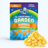 Freeze Dried Pumpkin - Vegan America