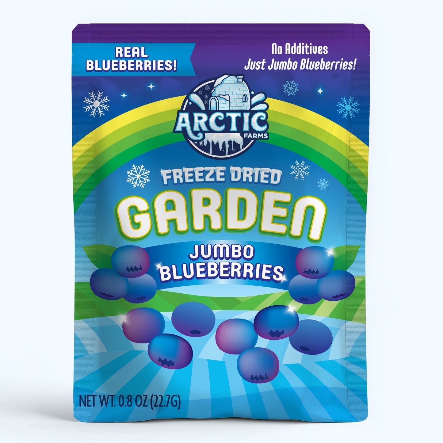 Freeze Dried JUMBO Blueberries - Vegan America