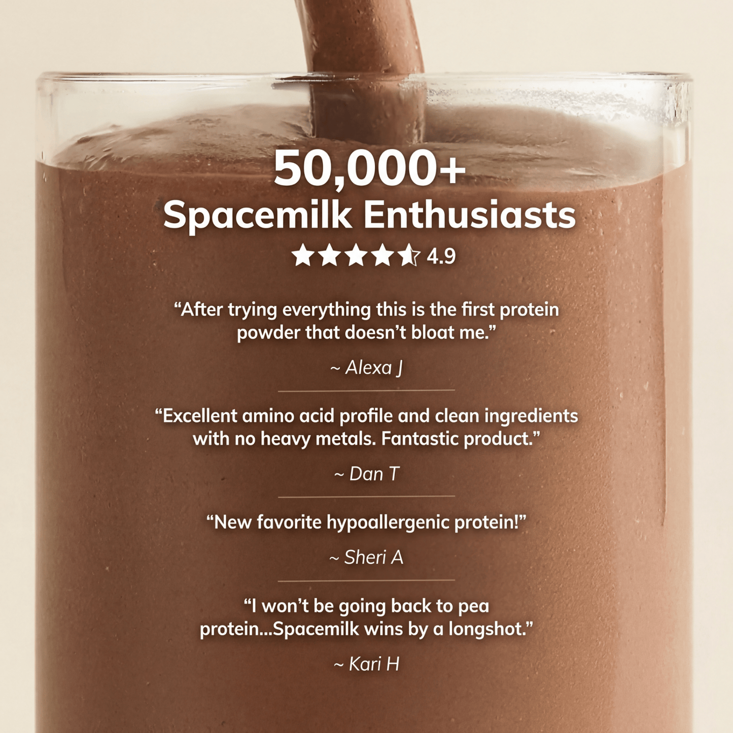 Protein | Chocolate Mousse - Vegan America