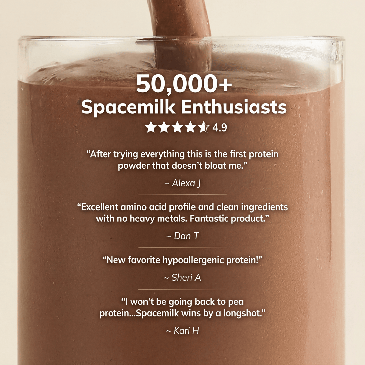 Protein | Chocolate Mousse - Vegan America