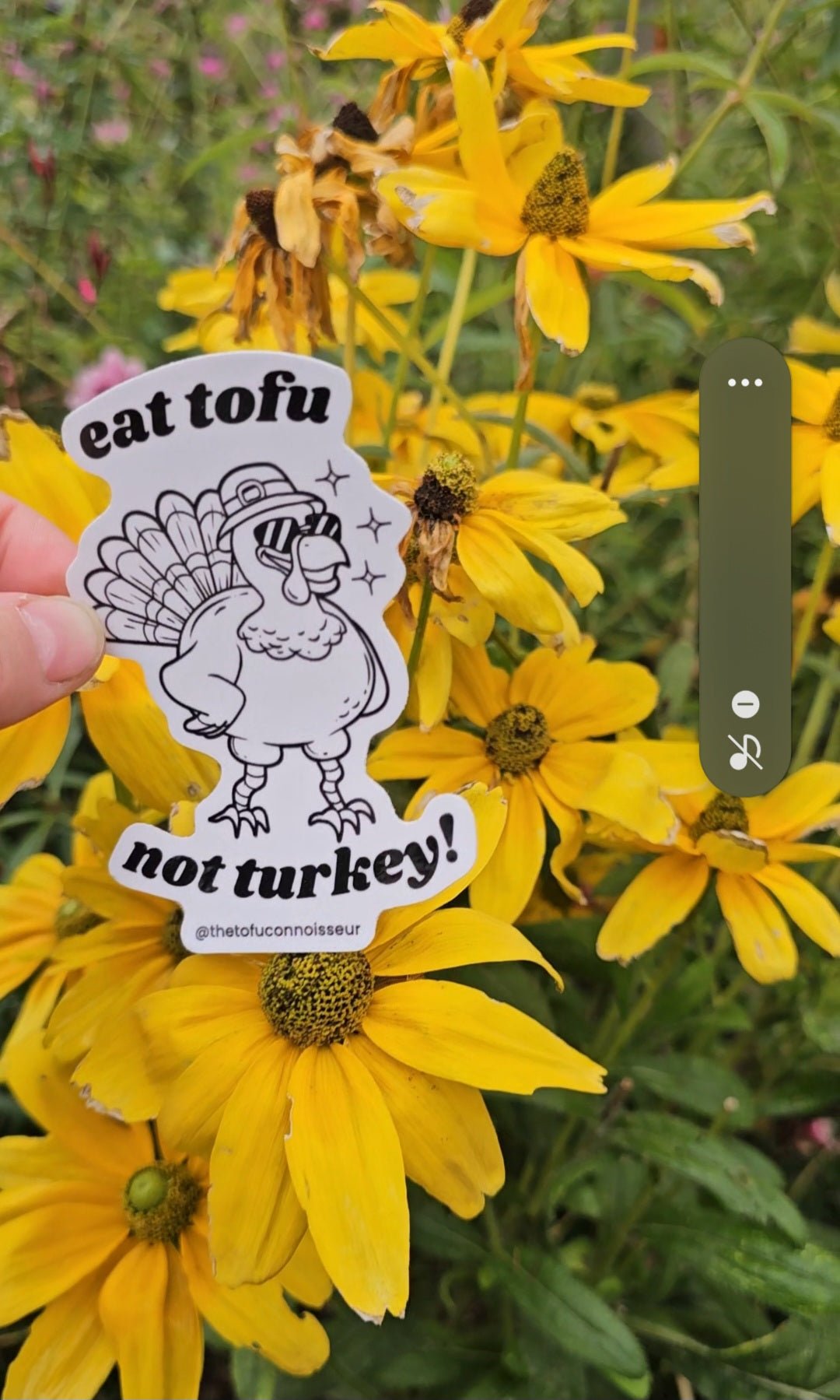 Eat Tofu Not Turkey - Vegan America