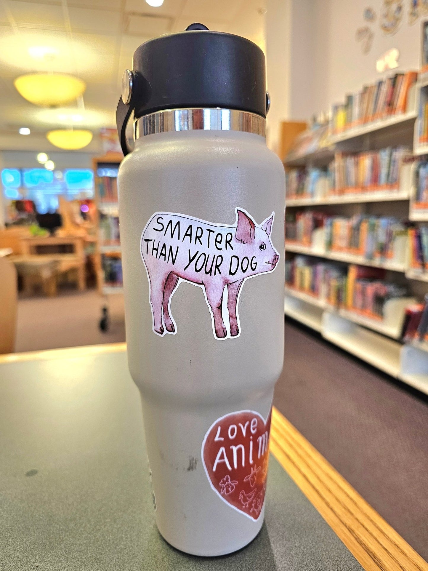 Smarter Than Your Dog - Vegan America