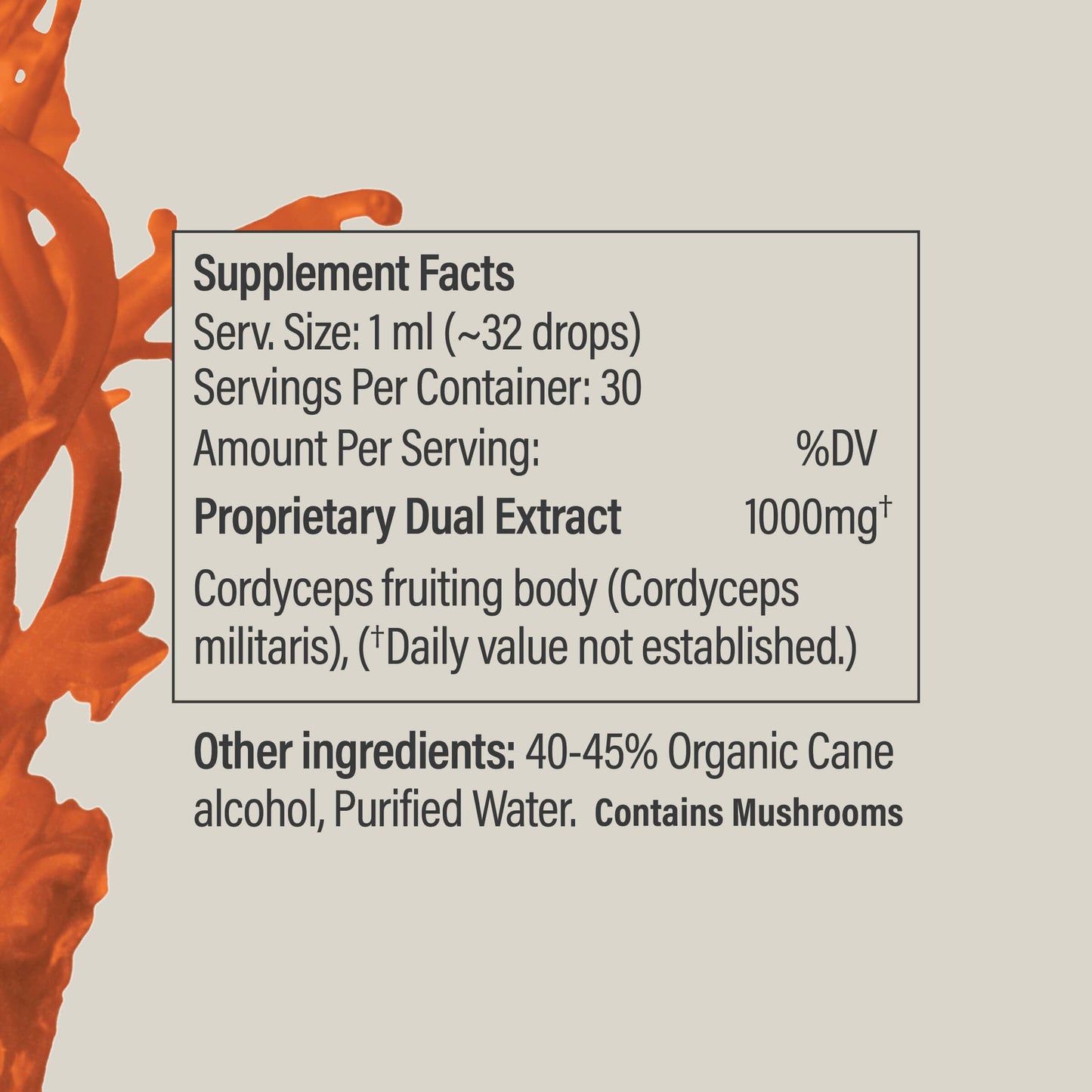 Cordyceps Tincture - Vegan America