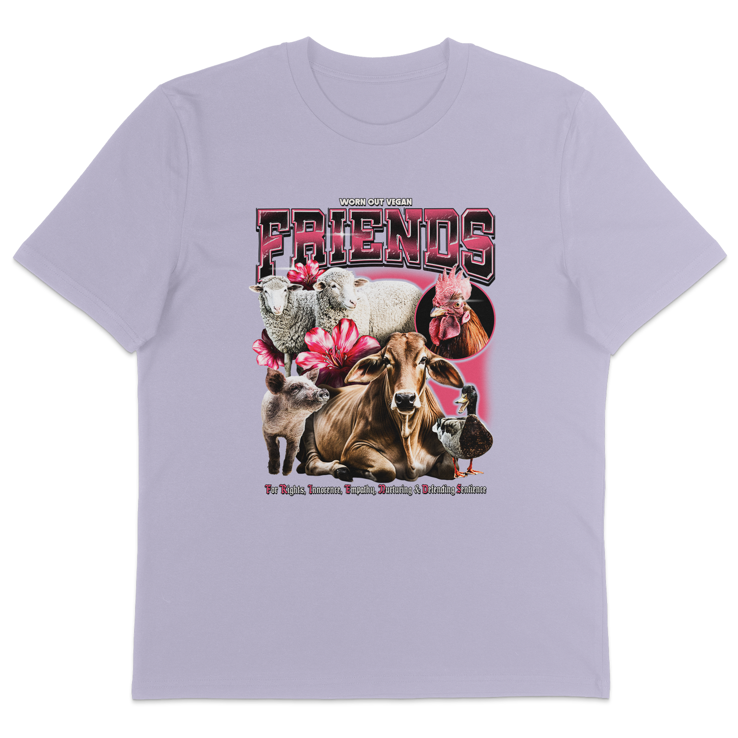 Friends Vintage T-Shirt - Vegan America