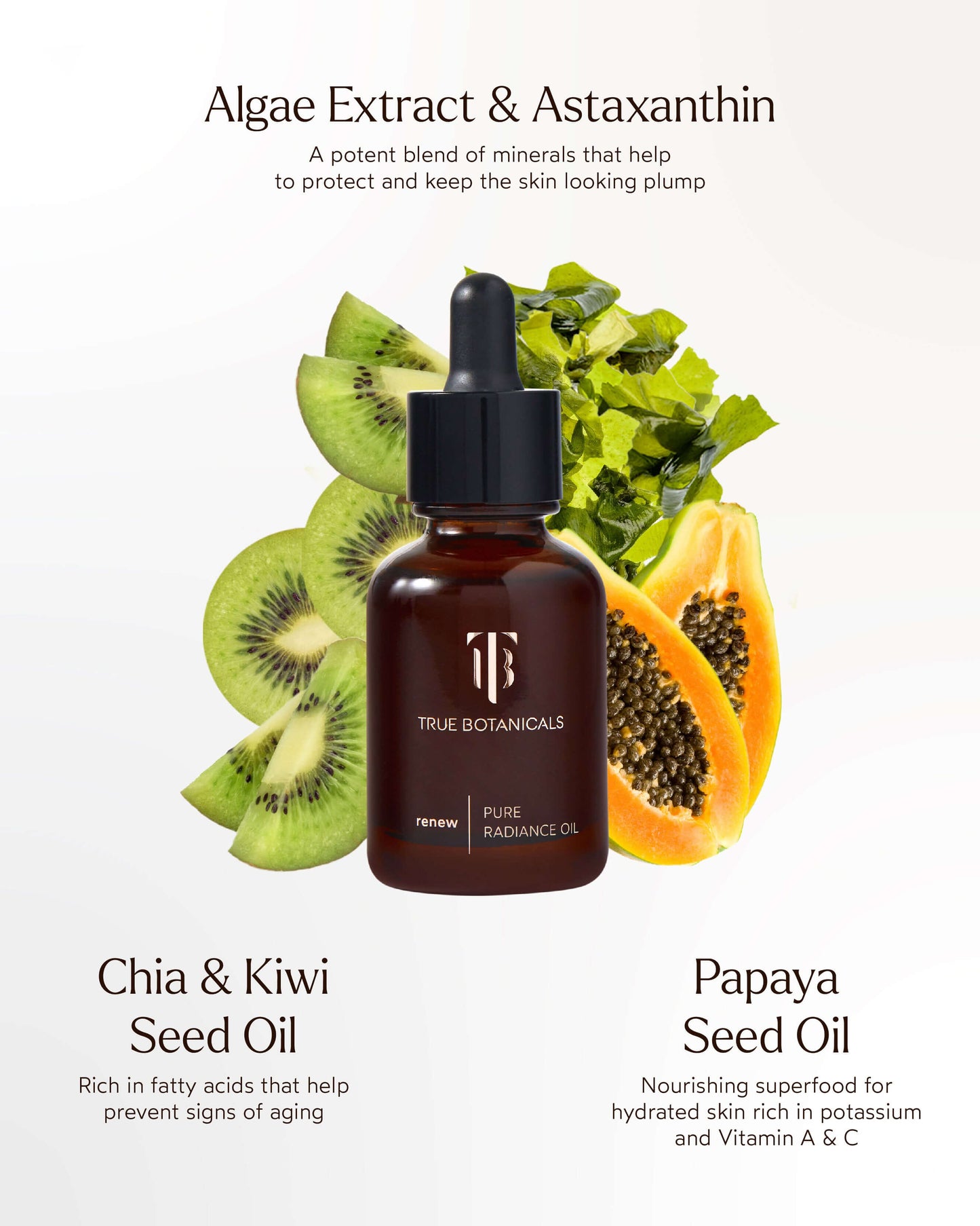 Renew Pure Radiance Hydrating Oil
