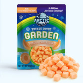 Freeze Dried Tuscan Cantaloupe Melon - Vegan America