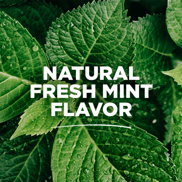 Fresh Mint Whole Care Anticavity Natural Mouthwash