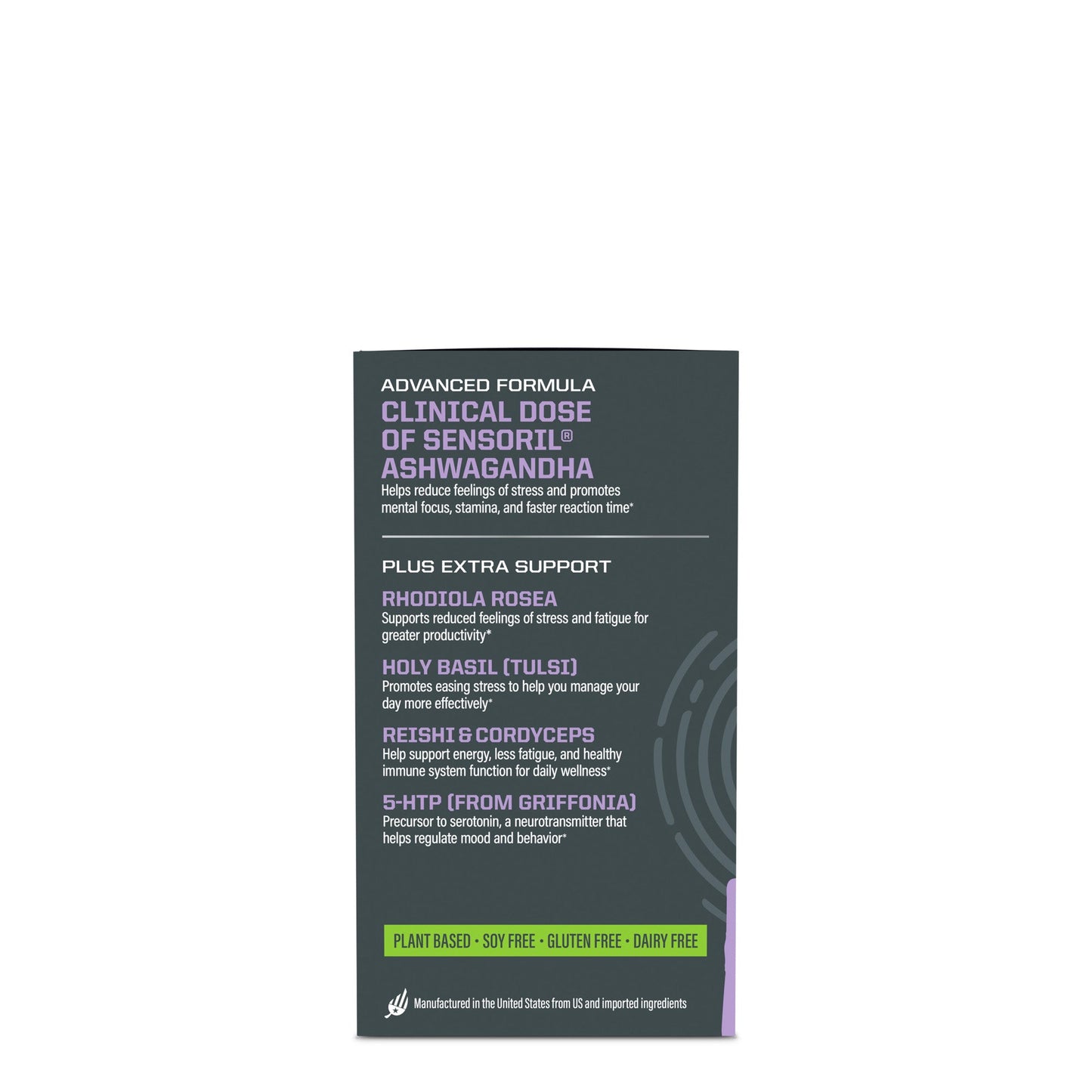 Active Focus and Balance BUNDLE