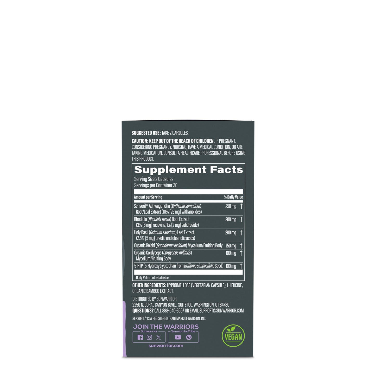 Active Focus and Balance BUNDLE