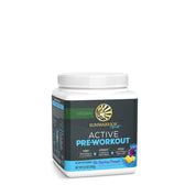 Active Pre-Workout - Blue Raspberry Pineapple - Vegan America