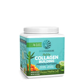 Collagen Building Protein Peptides Coconut Matcha Latte - Vegan America