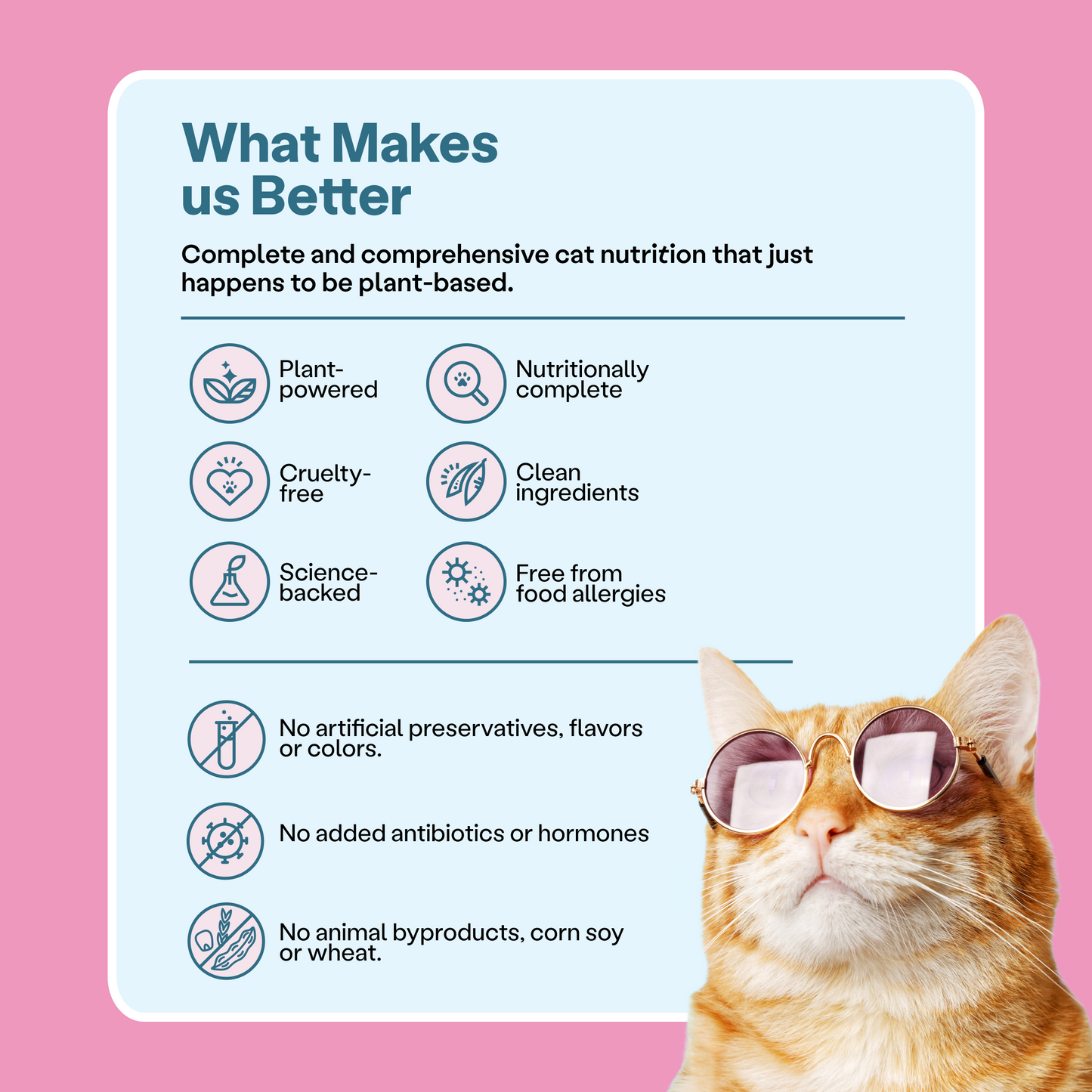 Cat Food, Unicorn Pate $45