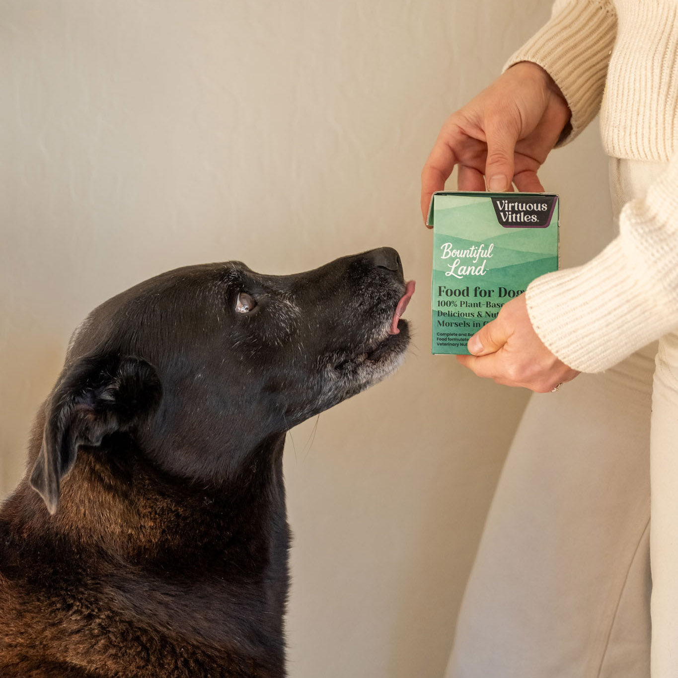 Bark Sampler