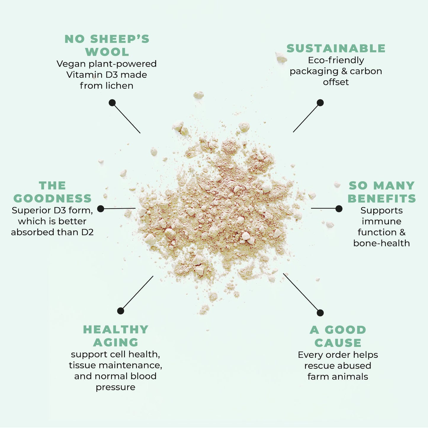 Vegan Vitamin D3 Supplement - Vegan America