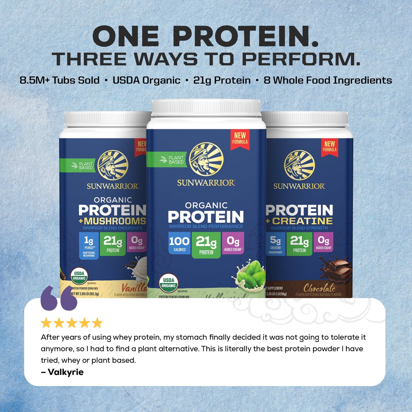 ORGANIC PLANT BASED PROTEIN POWDER