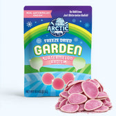 Freeze Dried Watermelon Radish Chips