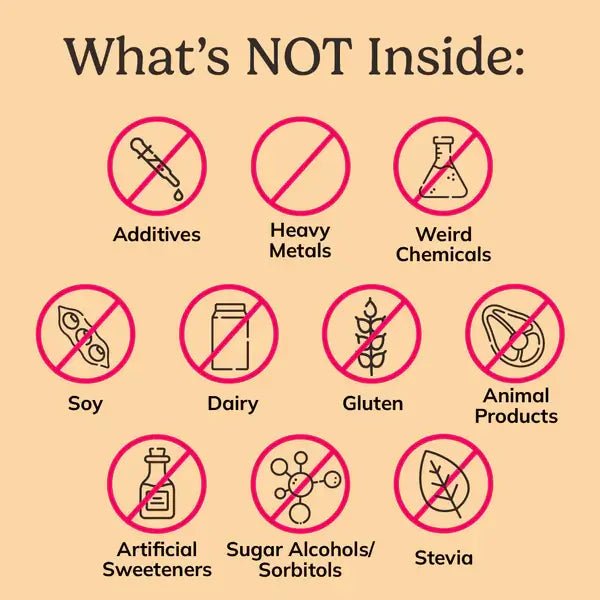 Starter Kit – Plant Protein Powder (10 Servings + Shaker Bottle) | Powered by NutriMatch™ - Vegan America