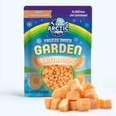 Freeze Dried Cantaloupe Melon - Vegan America