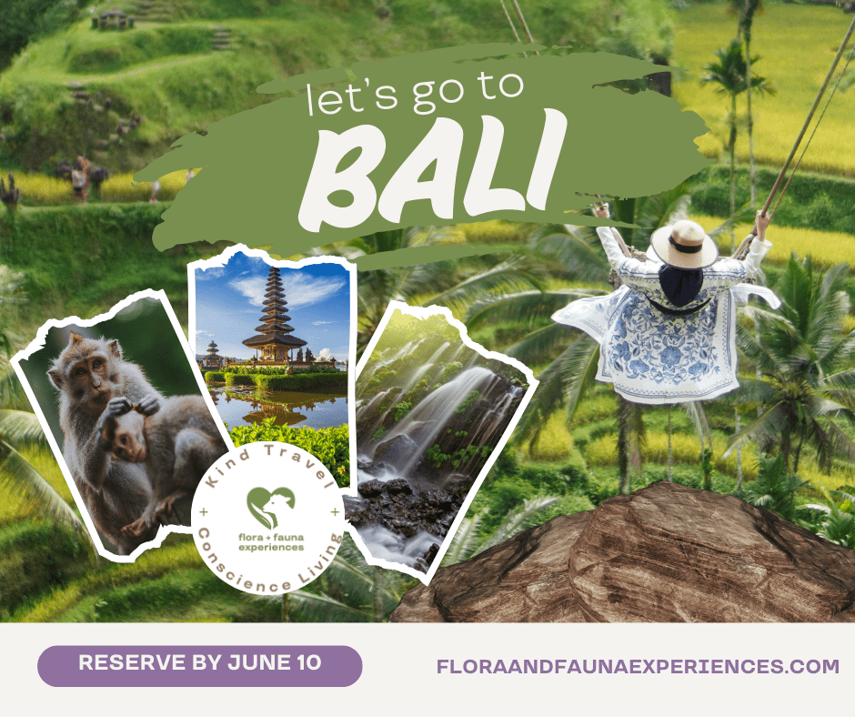 Indonesia with Flora + Fauna Experiences (Aug. 9 - 15) - Vegan America