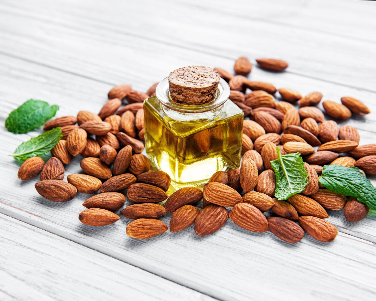 Plant Therapy Am | Hydra Boost+ Defense Skin Serum - Vegan America