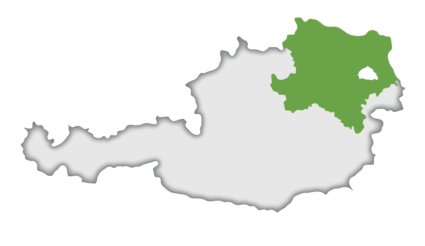 Grüner Veltliner