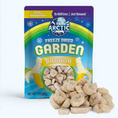 Freeze Dried Banana Chips - Vegan America