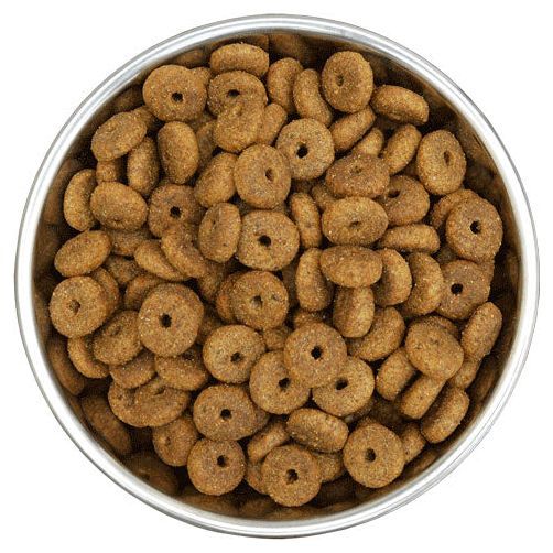 Benevo - Adult Plant-Based Dog Food | Multiple Size