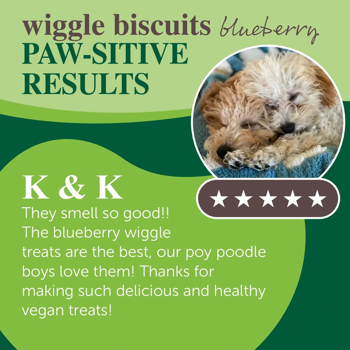 wiggle biscuits - blueberry