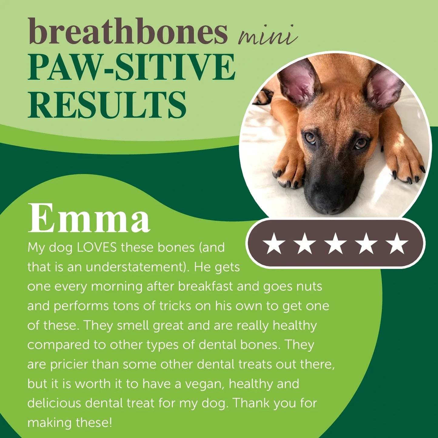 mini breath bones