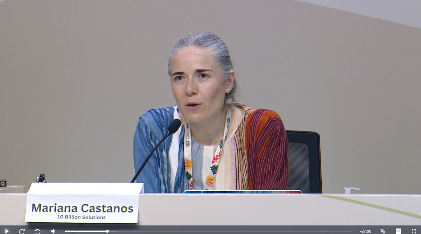 Mausam Climate Stripes Dress - Vegan America