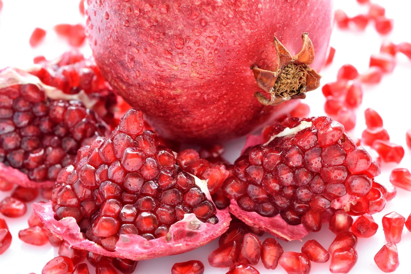 Plant Therapy PM | Nourish+ Repair Skin Serum PM | - Vegan America