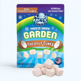 Freeze Dried Coconut Cubes - Vegan America