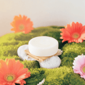 Sulfate-Free Conditioner Bar — Travel Size - Vegan America