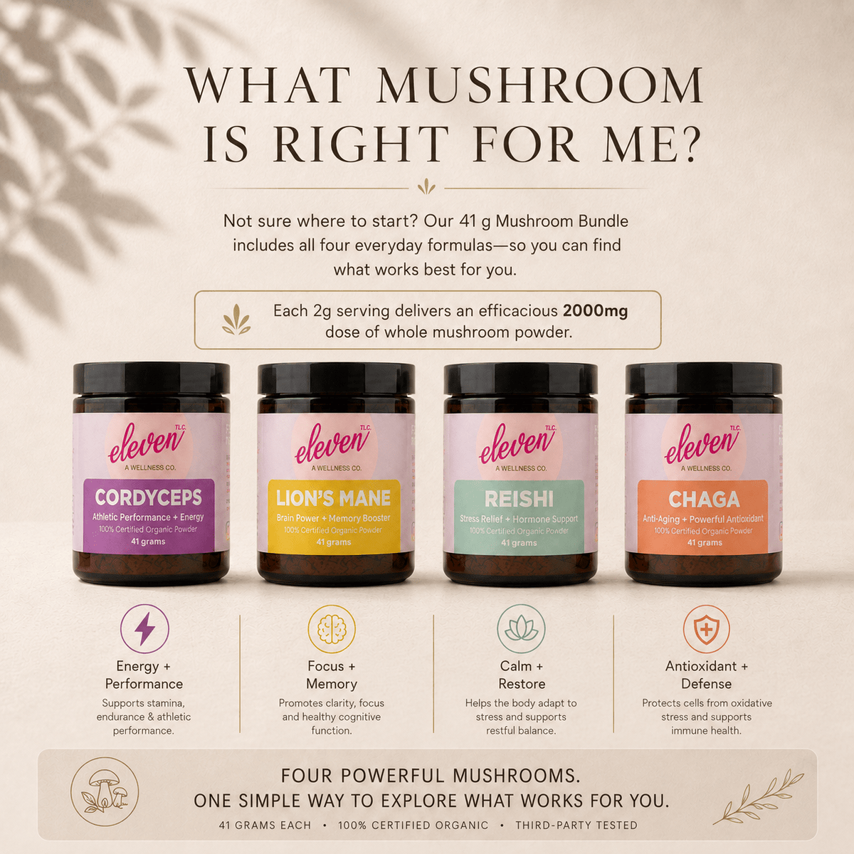 Organic 4-Mushroom Powder Bundle | Lion's Mane, Chaga, Reishi, Cordyceps - Vegan America