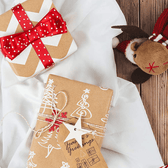 Gift Wrap - Vegan America