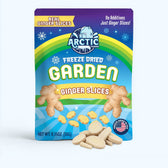 Freeze Dried Ginger Slices - Vegan America