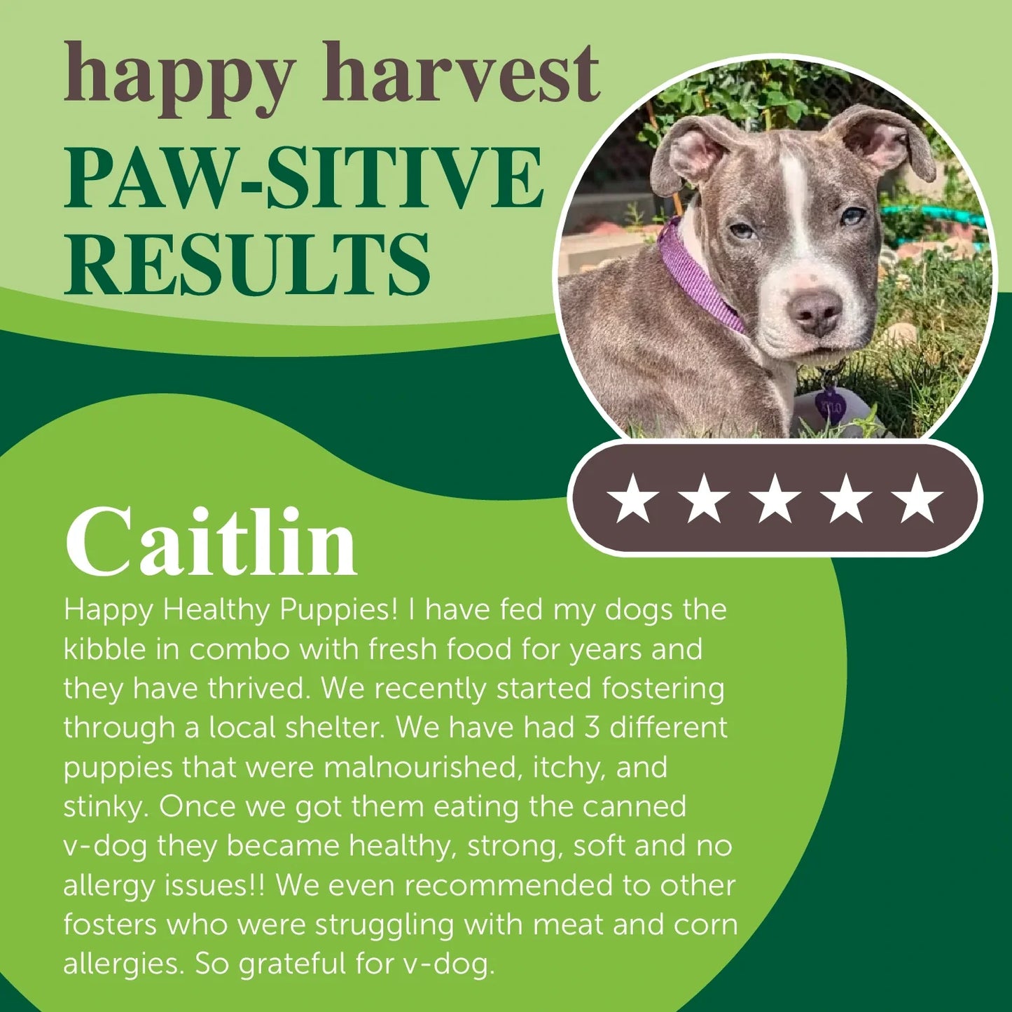 happy harvest soft food